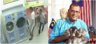 See more of kelab kucing malaysia on facebook. Mereka Punya Masalah Mental Presiden Kelab Kucing Malaysia Gesa Pihak Berkuasa Kenakan Hukuman