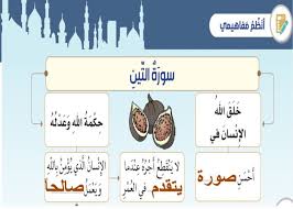 حل درس سورة التين للصف الثالث تربية اسلامية school activities activities school