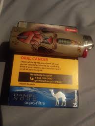 A guy at the party last night kept giving me his newport menthols but i guess when you're drunk they're fine. Just Got These At The Gas Station I Work At Anyone Else Tried Them Camel North Cigarettes