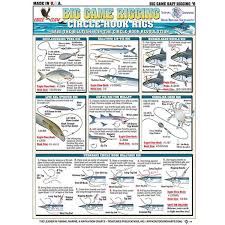 Bait Rigging Chart Circle Hook Rigs Card Tl Br6 8 99