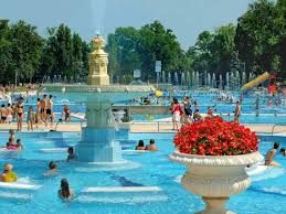 Margaret Island Palatinus Bath Budapest Travel Budapest Budapest Hungary
