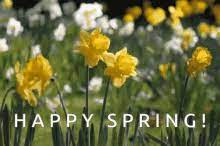 Spring 2021 begins on march 20, and ends on june 21. Happy Spring Gifs Tenor