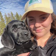 Labrador Enthusiasts: Mentorship and Education