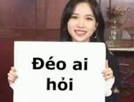 Meme Ai Hỏi - TOP Ảnh Chế Sassy Viral 🤷