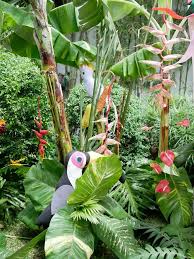 Where every guest is provided with exceptional, personalized experience, one event at a time. Kara S Party Ideas Rainforest Birthday Party Kara S Party Ideas