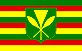 Hawaii Historical Flags Historical Flags Hawaii Flag Hawaiian Flag