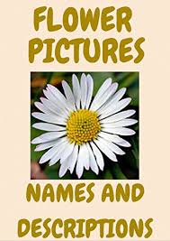 Looking for a favorite blossom? Flower Types Pictures And Descriptions Kindle Edition By Rose Willow Crafts Hobbies Home Kindle Ebooks Amazon Com