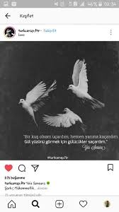 Miray Adli Kullanicinin Onemverilenler Panosundaki Pin Sarki Sozleri Sarkilar