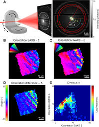 Check spelling or type a new query. Mapping The 3d Orientation Of Nanocrystals And Nanostructures In Human Bone Indications Of Novel Structural Features Science Advances