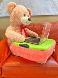 Image result for lap pillow