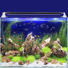 China 40w Waterproof Ip67 60cm Full Spectrum Led Aquarium Fish Tank Light With Extendable Brackets China Led Aquarium Light Full Spectrum Aquarium Lighting