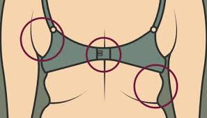 Dar Giysiler Giyince Koltuk Alti Yaglariniz Mi Ortaya Cikiyor Iste Cozumu Koltuk Alti Egzersiz Karin Kasi Mucadelesi