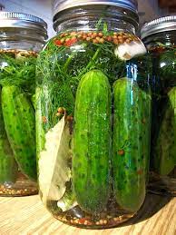 The Hirshon Authentic Jewish Half Sour Dill Pickles זויערע וגערקע The Food Dictator