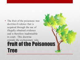 But the us supreme court ruled that the fruit of the. Psychology Of Homicide Unit Ii Ppt Download