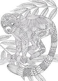 Hopefully, you liked our collection of monkey coloring sheets for children. Pin On Adult Color Images Bear Ape