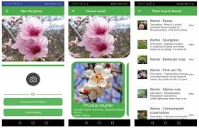 Flowers, trees, succulents, cacti and more! 9 Best Plant Identification Apps For Android And Ios 2021 Regendus