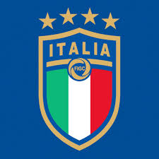 Image result for logo figc