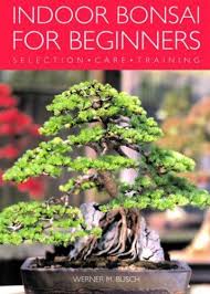 Bonsai Trees For Beginners Indoor Garten Container Garten Blumen Anbauen