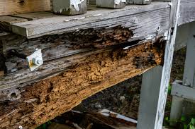 ウッドデッキ シロアリ