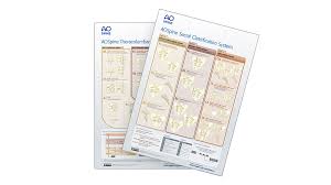 Image result for Subaxial Injury Classification Scale
