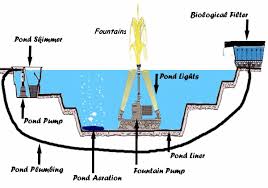 When using a mechanical filter, the trigger for cleaning a pond is often visible dirt. Pond Diagram