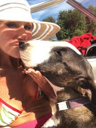 One of our very best K9s is retiring! Axl is a Belgian Malinois and was  born in the Czech Republic. He has been partnered with Deputy Tom McNeil  for the past nine