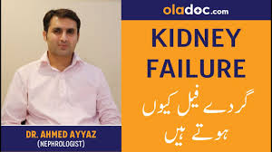 Kidney Failure Pain Treatment Gurday Gurde Ki Dard Ka Elaj Ilaj Kidney Failure Symptoms Alamaat Youtube