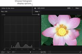 Histogram Display Options In Final Cut Pro Apple Support