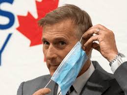 Maxime bernier en train de construire son propre siège pour la chambre des communes (2019, colorisé). Maxime Bernier National Post