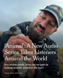 Nick Pedicini's Instagram, Twitter & Facebook