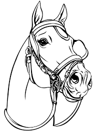 Kleurplaat paardenhoofd met hoefijzer autosticker paard hoefijzer 20. Kleurplaten Paard De Leukste Tekeningen Van Paarden