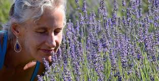 Lavender Flower Teardrops Hammered Silver Glass Earrings