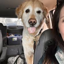 TOP 10 BEST Dog Boarding near Cape Elizabeth, ME