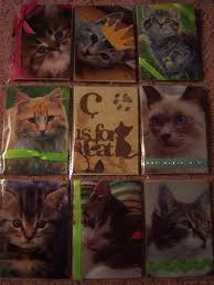 Cat Pocket Letter Pocket Letter Pals Pocket Letters Flip Book