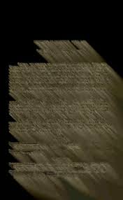 Image result for Vincetoxicum apiculatum