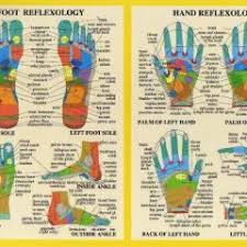 Foot reflexology diagram 27 always up to date foot reflexology chart free download. Hand And Foot Reflexology A4 Chart