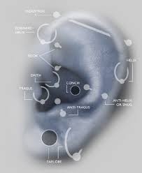 Ear Piercings Random Different Ear Piercings Ear Piercings Body Piercings