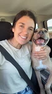 dogs afraid of thunderstorms and comfort methods