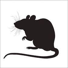 Picture Of Silhouette Of A Rat Vector Art Illustration Rat Silhouette Animal Silhouette Halloween Silhouettes