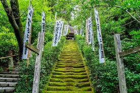 人混みを避けてのんびり＆まったり旅。鎌倉の穴場おすすめ観光スポット8選／神奈川 | icotto（イコット）