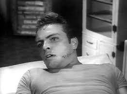 THE HOUSE OF FRADKIN-STEIN: I Was a Teenage HERMAN COHEN: Horror, and  Science Fiction,