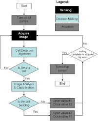 flow chart of the sorting algorithm download scientific