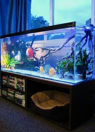 21 Stunning Indoor Aquarium Design Ideas For Inspiring Home Decorations Homedesignideas Homedecordiy Aquariumtanksid Aquarium Design Home Aquarium Aquarium