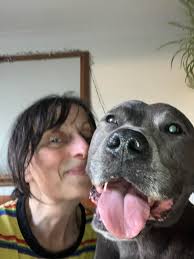 has anyone got a list of dog-friendly theatres around the UK? any advice  for touring with a dog more than welcome too!