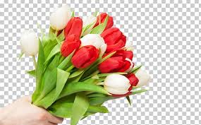 Flower Bouquet Tulip High Definition Television Png Clipart Artificial Flower Bouquet Bouquet Of Flowers Bouquet Of Close your eyes and try to picture a serene image in your mind.
