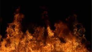 Jika kamu penggemar game yang satu ini, pastinya mau dong wallpaper free fire untuk melengkapi koleksi kamu? Free Fire Backgrounds Wallpaper Cave