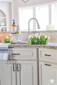 organization for under the kitchen sink