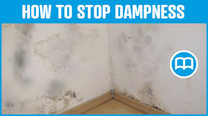How to solve moisture problems in the basement. Damp Proof Paint Bathrooms Damp Basement Cures And Prevents Dampness Youtube