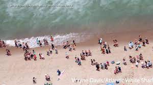 See reviews, photos, directions, phone numbers and more for abc store locations in satellite beach, fl. Massachusetts Beach Closed After Shark Sightings Video Abc News