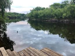 We did not find results for: Peace River Campground Updated 2021 Reviews Arcadia Fl Tripadvisor